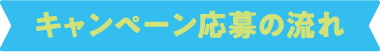キャンペーン応募の流れ